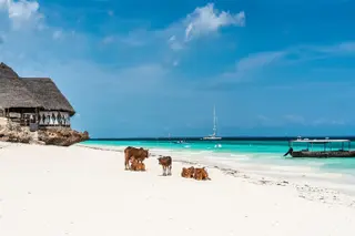 Zanzibar