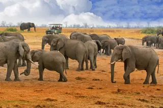 Zimbabwe